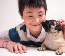 Service Dogs for Kids on the Autism Spectrum